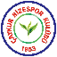Logo Rizespor Token (RIZE) - Cryptomonnaie