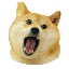 Logo Doge Eat Doge (OMNOM)
