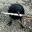 Logo crow with knife (CAW)