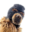 Logo Ski Mask Dog (SKI)