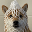 Logo Wrapped Dog (WDOG) - Cryptomonnaie