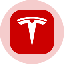 Logo Tesla Tokenized Stock (Ondo) (TSLAon)