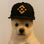 Logo PUP (pupxbnb.com) (PUP)